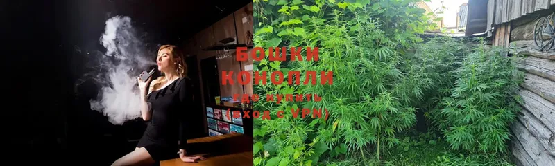 Конопля Ganja  Мурманск 